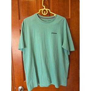 Patagonia Responsibili-Tee t-shirt Fitz Roy bison Teal Size XL
